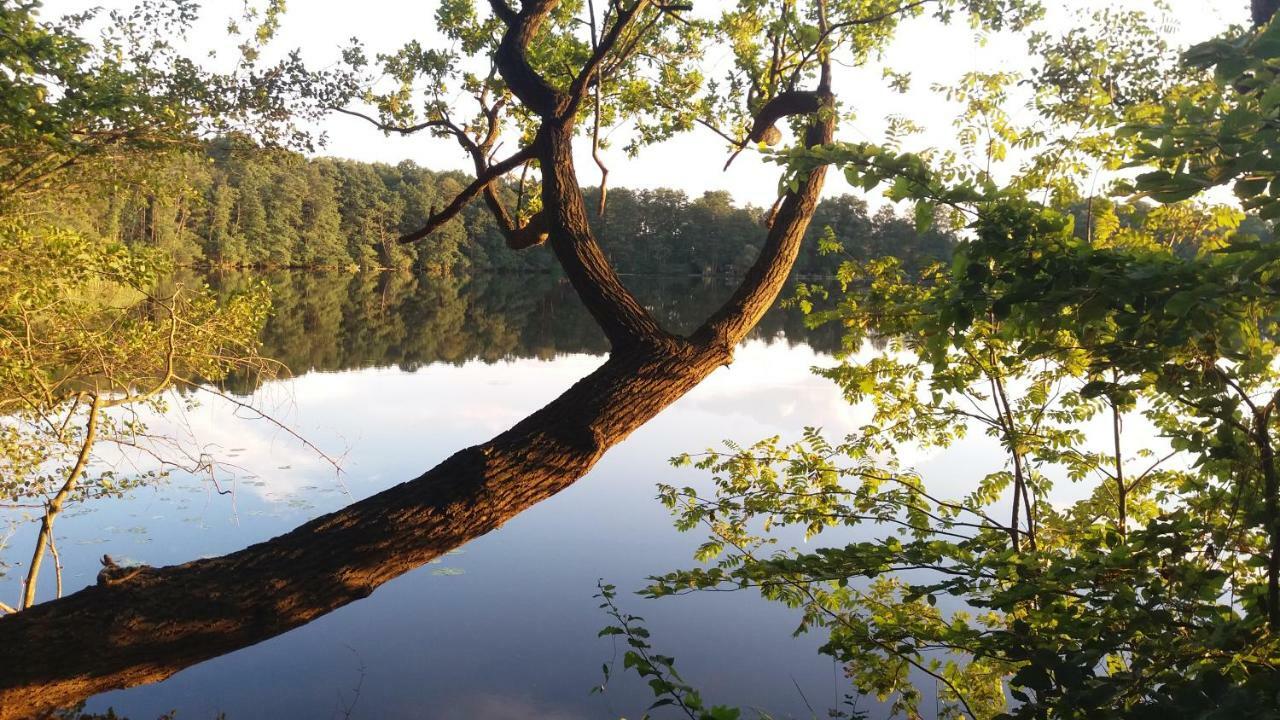 Sidowseetraum Himmelpfort Exteriér fotografie
